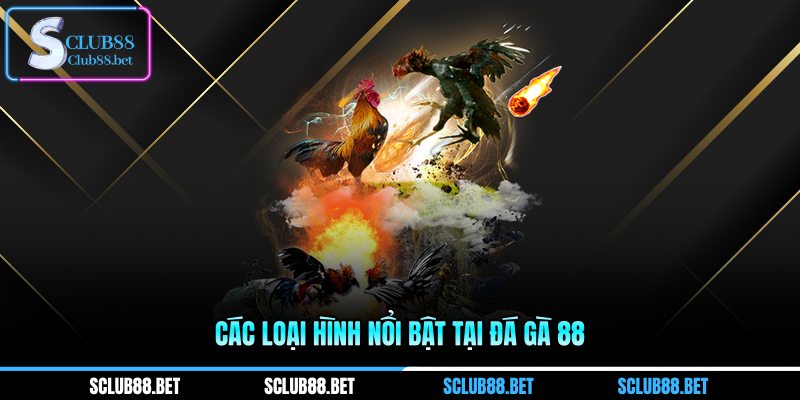 Các loại hình nổi bật tại đá gà 88