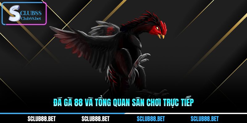 Đá gà 88 và tổng quan sân chơi trực tiếp