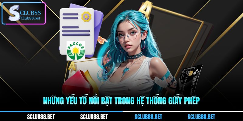 Những yếu tố nổi bật trong hệ thống giấy phép